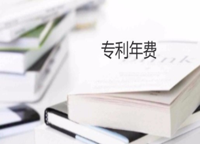 全球专利年费缴纳最多企业有哪些？最新数据出炉